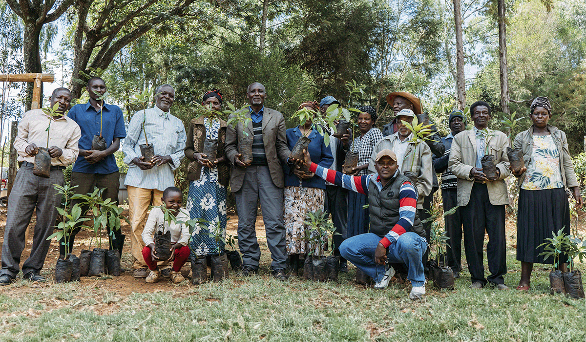 The rich tapestry of trees in DGB’s reforestation projects: empowering local communities