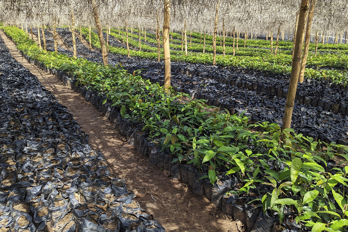 measuring your company's carbon footprint