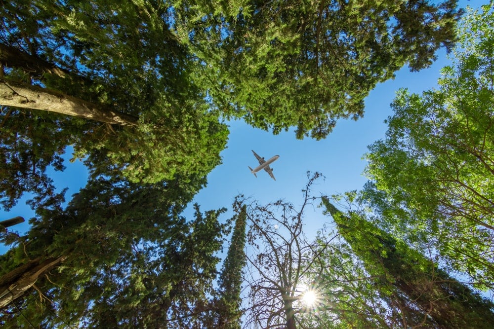 Travel emissions and carbon offsetting