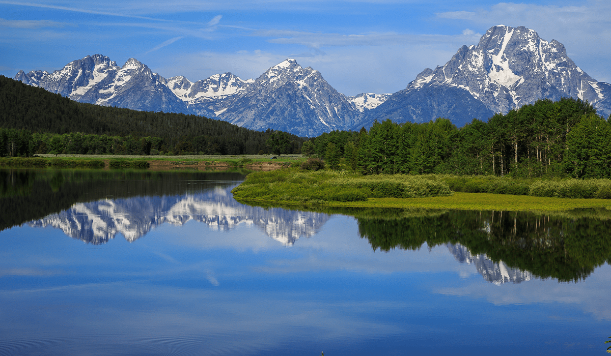 US invests nearly $10 million in reforestation