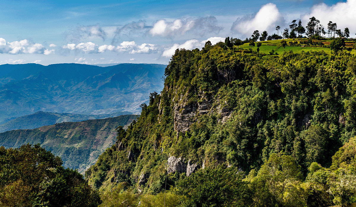 USAID announces multiple million dollar investments to support African climate leadership