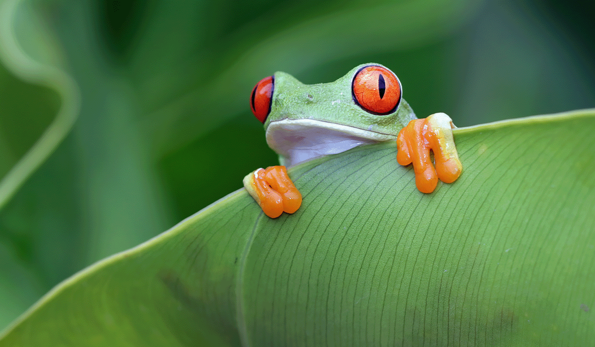 Hidden carbon footprint