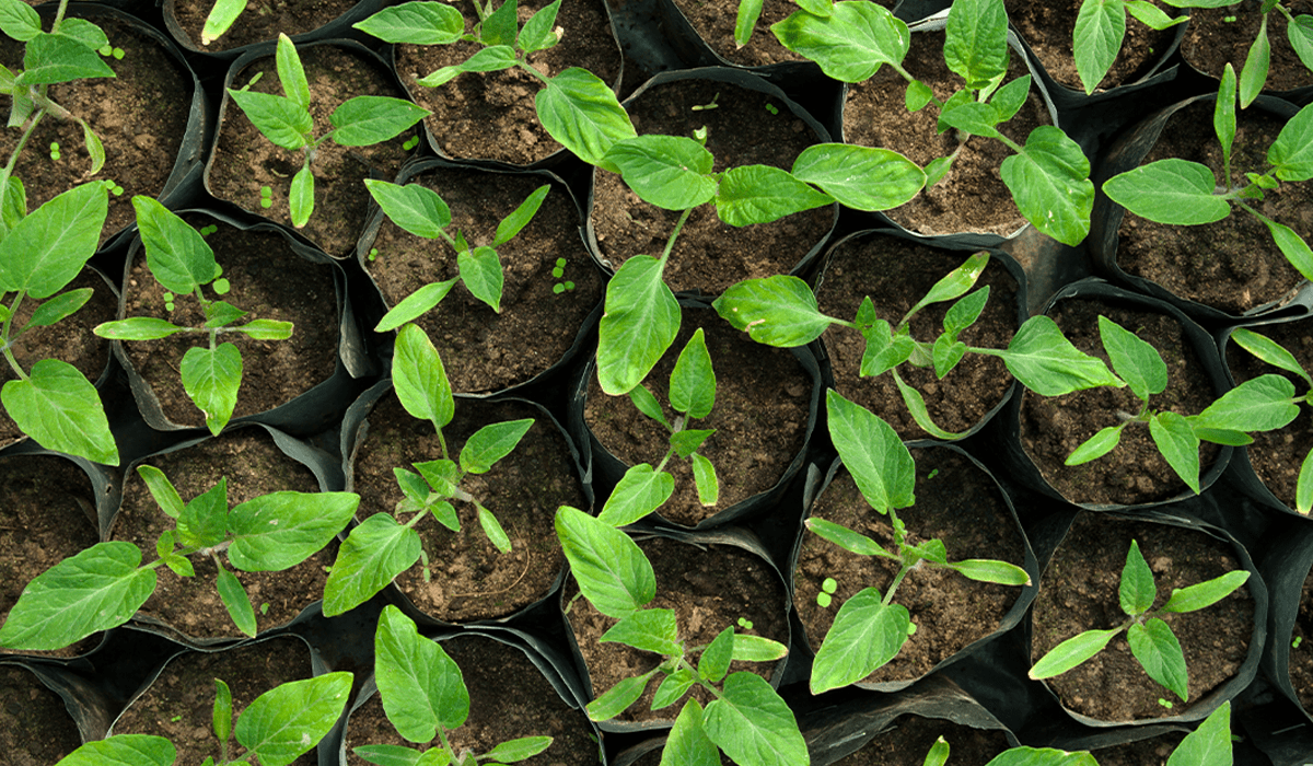 Carbon capture and storage market projected to exceed $10.2 billion