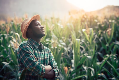 Carbon farming
