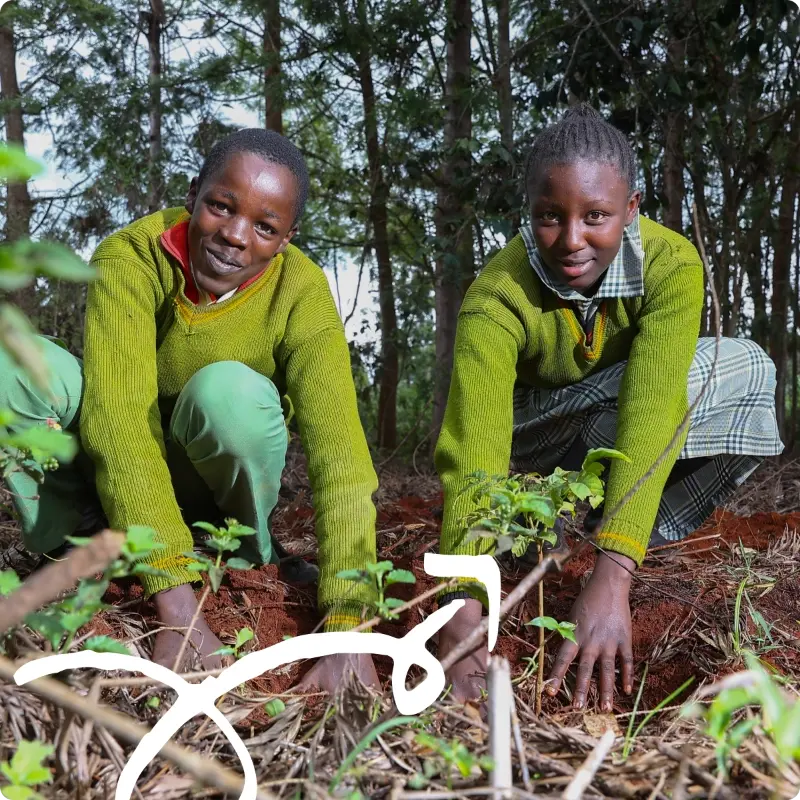 forest guardians_grow a better tomorrow