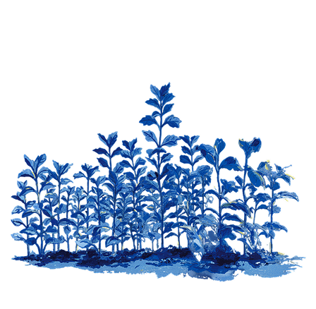 image 146