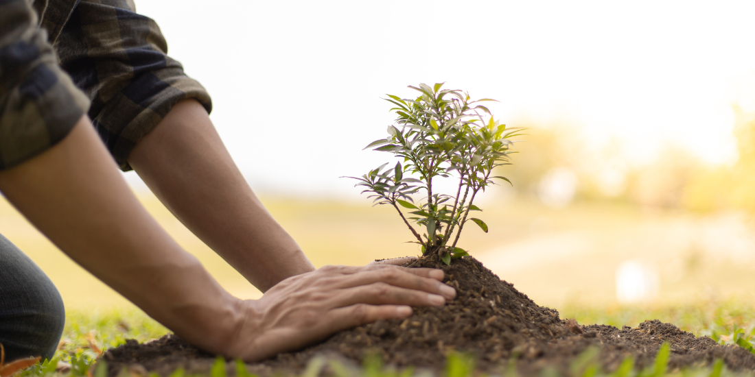 14 Common Misconceptions About the Carbon Market