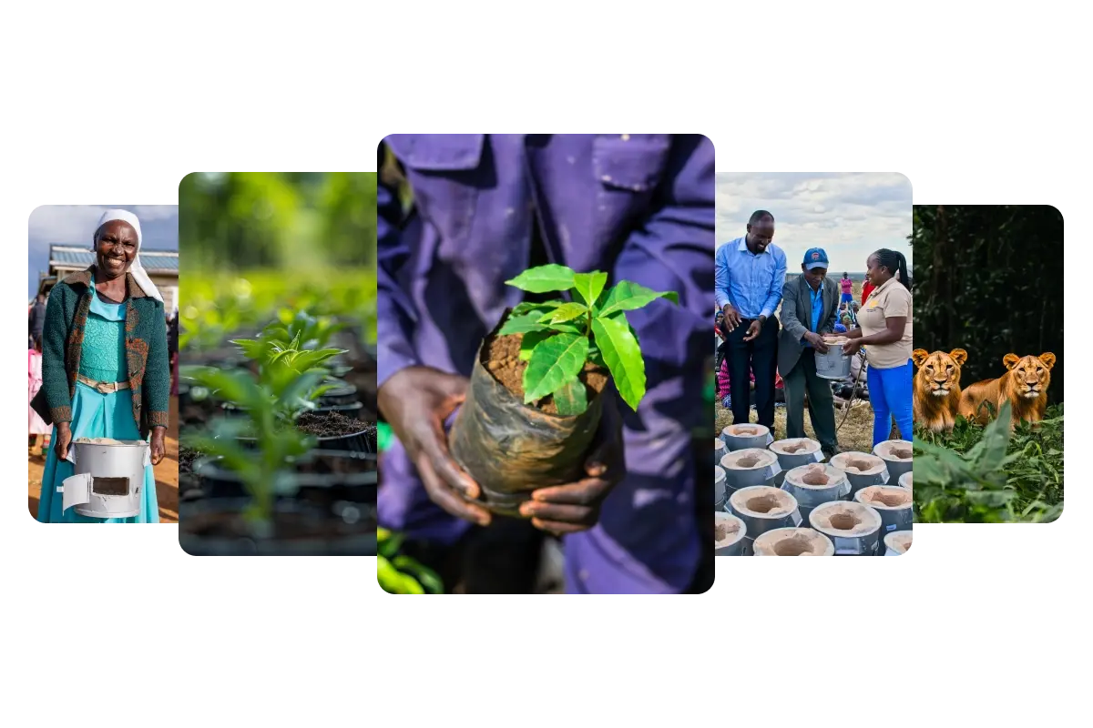 invest_investing in carbon credits_a diversified portfolio of high-quality carbon projects (4)