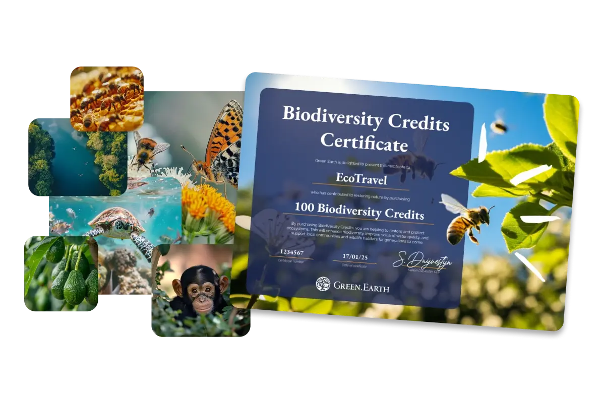 landing page_biodiversity credits_demonstrate your commitment to nature-1