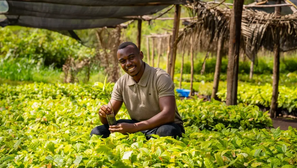 landing page_carbon credit portfolio_lead in sustainability