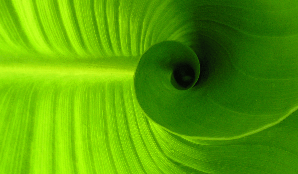 Net zero and a circular economy: Top 3 opportunities and challenges