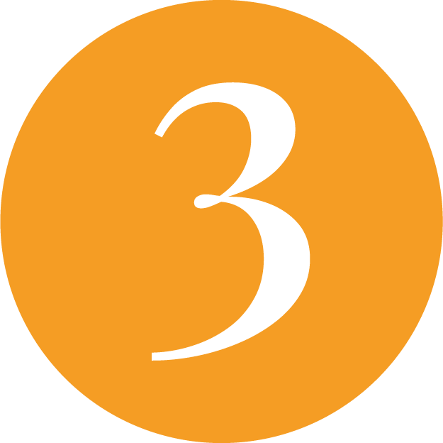 orange circle_3