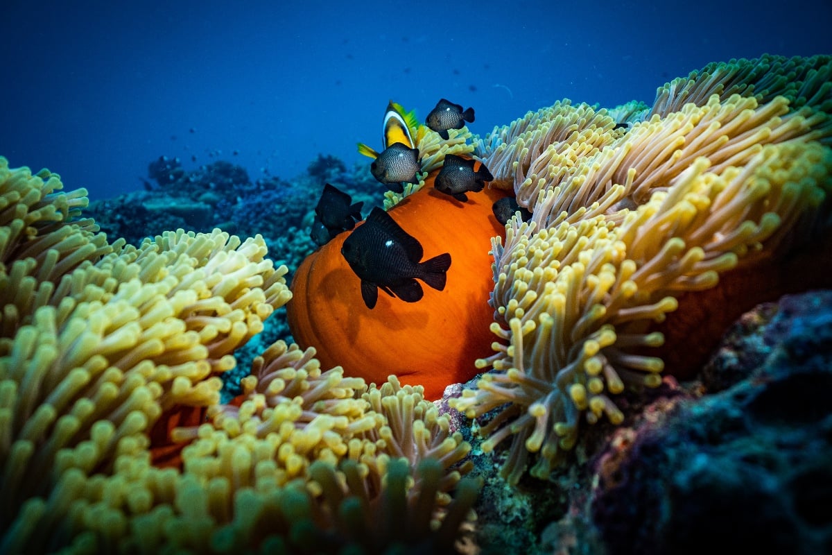 Explore why biodiversity matters
