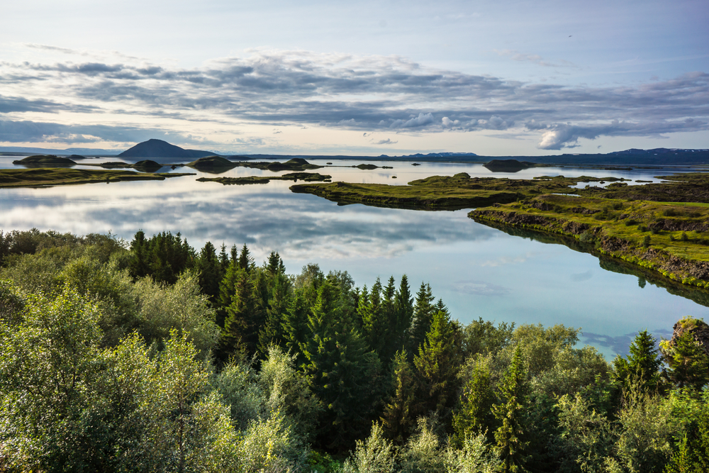 How Iceland is regrowing forests destroyed by the Vikings