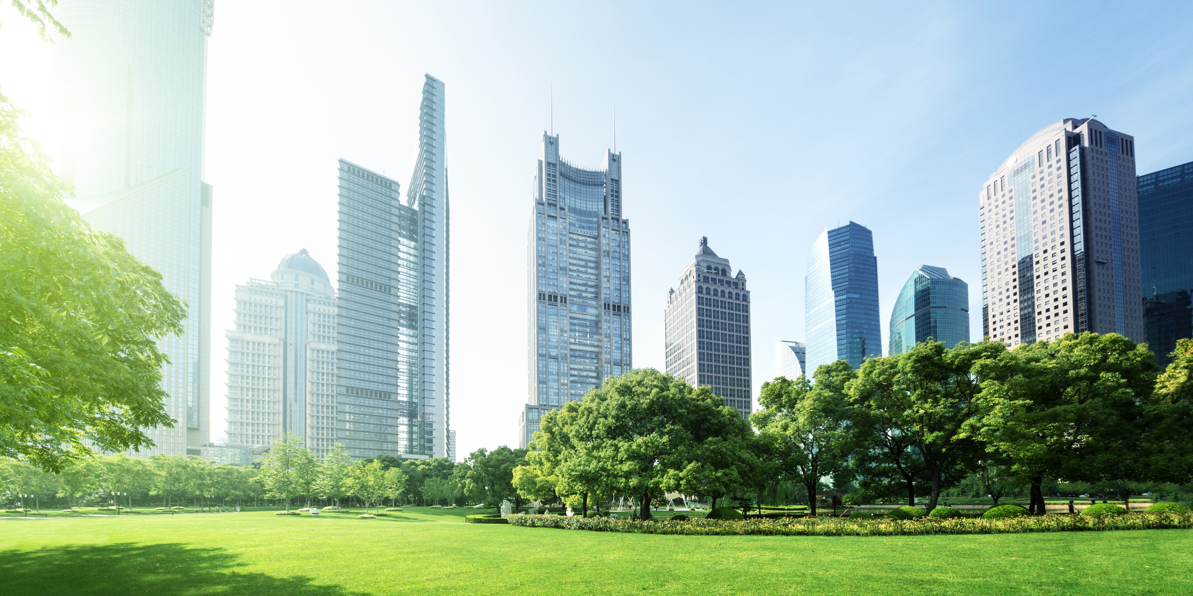 Sustainable City Greening