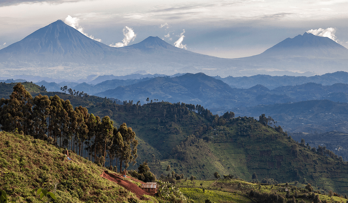 Rwanda's ambitious carbon market strategy: setting a price floor of $30