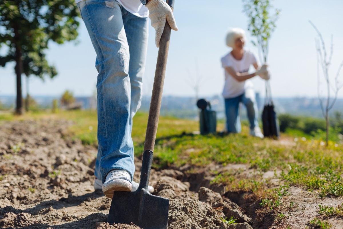 8 Reasons why you should plant trees for your employees