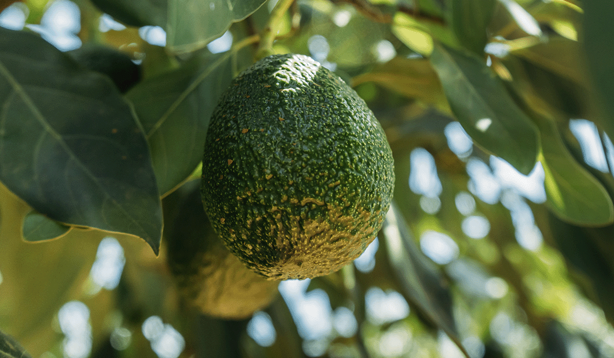 How to stay ahead of the curve on sustainability