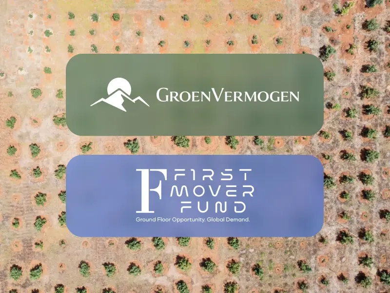 tailored solutions for business and investors_private investors