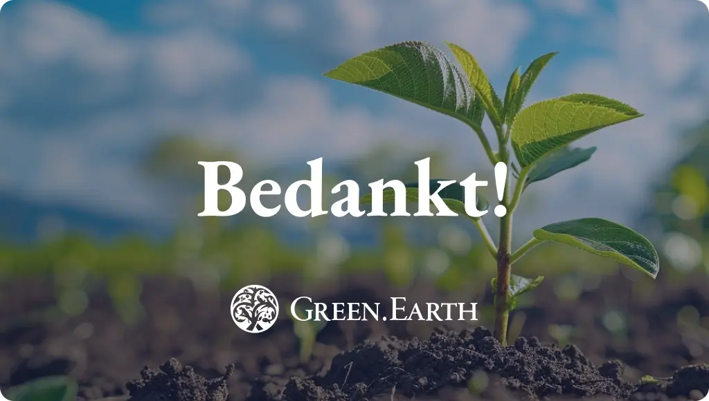 thank you_carbon footprint analysis brochure_main image_NL-1