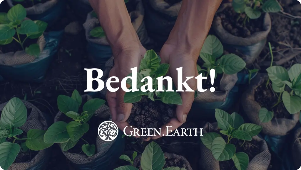 thank you_webinar_main image_NL-1