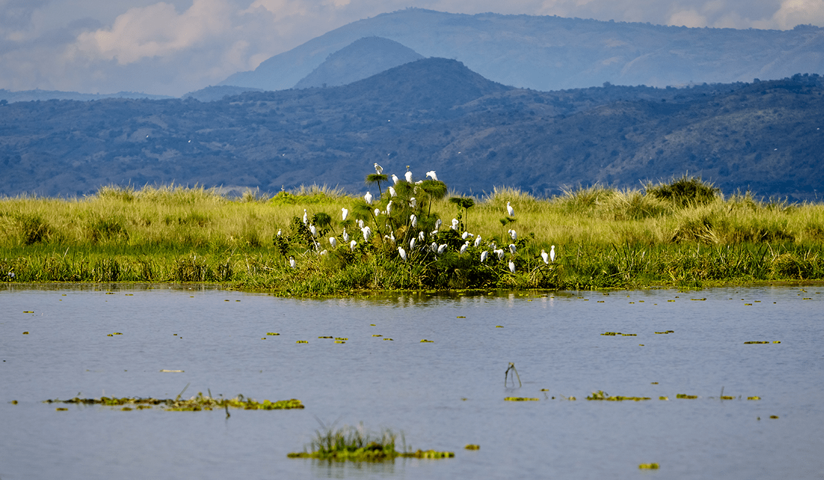 The cost of preserving Earth's ecosystems: a price worth paying